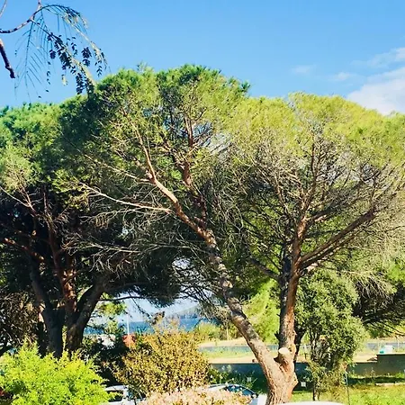 Ξενοδοχείο με διαμερίσματα Filippi Πόρτο Βέκιο